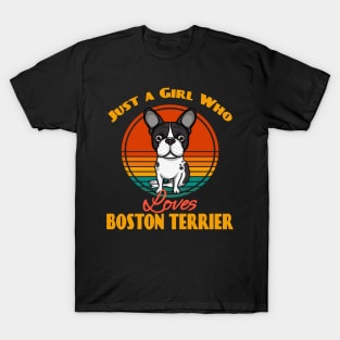 Just a Girl Who Loves Boston Terrier Dog puppy Lover Cute Sunser Retro Funny T-Shirt